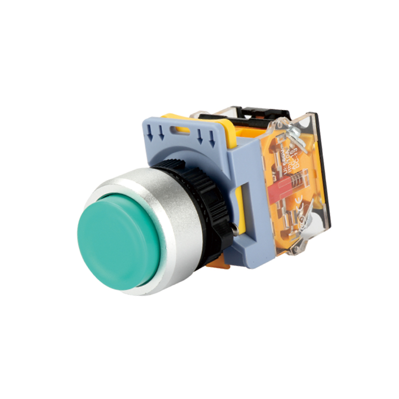 Extended(maintained)push button switch