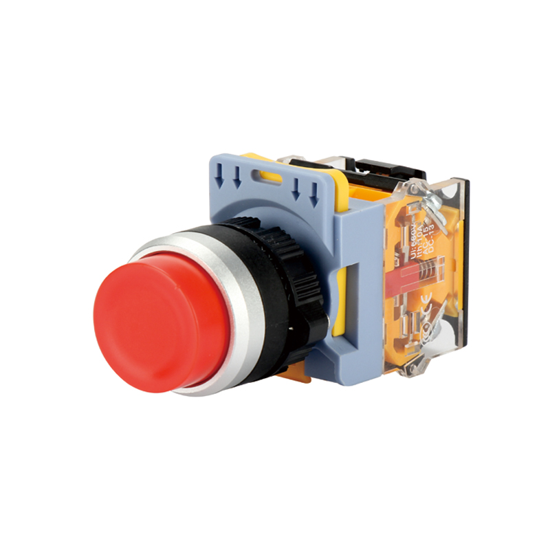 Extended(maintained)push button switch