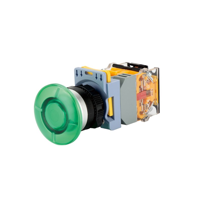 lluminated(maintained)mushroom push button switch