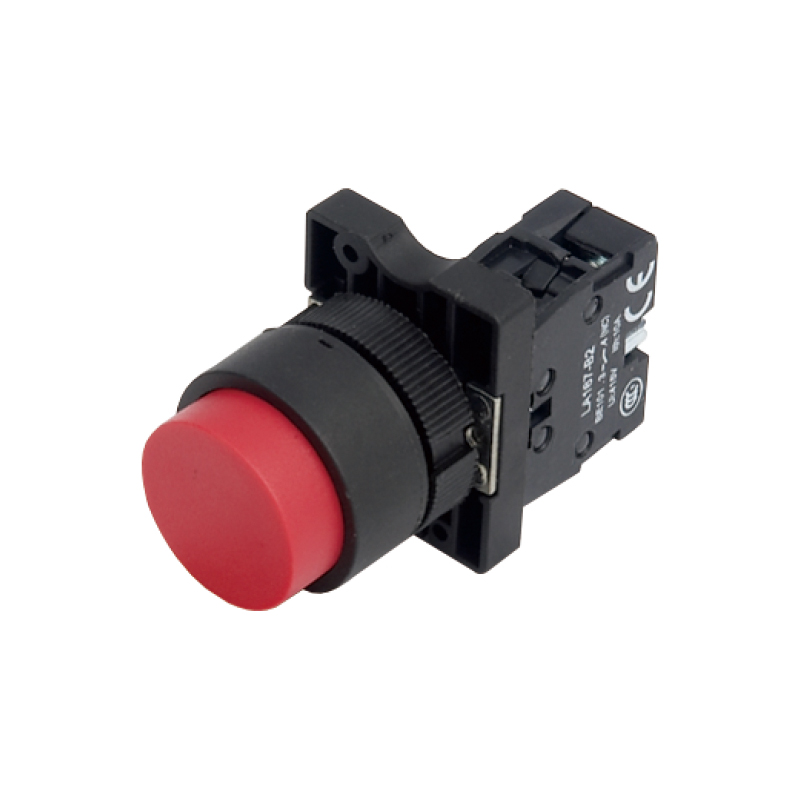 Extended push button switch